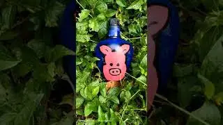 cute piggie bottleart🐷🐽,#bottleart #cute, #piggiesfun, #art,#shorts, #ytshorts