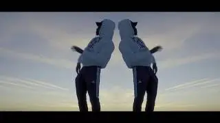 Resilient Zoo - Joy (Official Video)