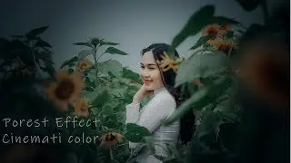 Forest Effect Cinematic Color Grading Photoshop Tutorial -Tech Perfect