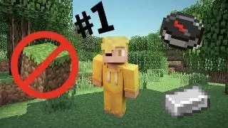 Minecraft ma non posso rompere blocchi! ep.1
