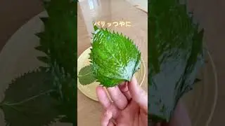 【レンジで３分✨大葉チップス🌿✨】⁡⁡こんばんは🌙うりさんです◡̈🪴⁡⁡他の投稿はこちら👉🏻『保存』しておくと、すぐに見返せるので便利だよ☺️💕⁡⁡