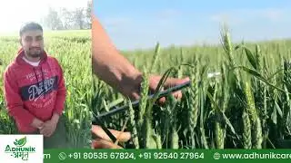 Eco-Friendly Items Garner Positive Client Feedback | Adhunik Amrit | Contact: 9254027964