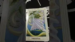 Crowley on Relationships #princessofcups #crowley #tarot