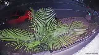 Man wanted for allegedly breaking marble clock outside store in Huntington