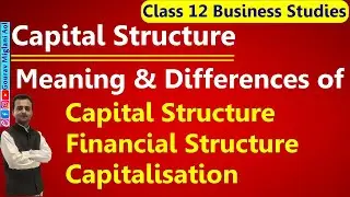 Capital Structure: Meaning of Capital Structure, Financial Structure,Capitalisation Business Studies