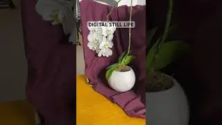 DIGITAL STILL LIFE - Rate this artwork 🙏🏽🥰 #art #music