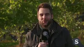 Spotlight - Willkommen in der Winzerei zur Metzg