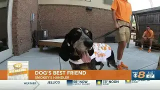 Smokey X’s final season on Rocky Top