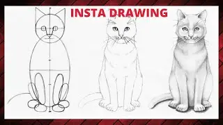 How to Draw a Realistic Cat Step-by-step |Cat for BEGINNERS| Insta Drawing
