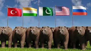 Brown Bear population by Country 2024