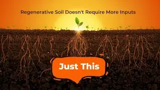 Regenerative Soil Doesn't Require More Inputs, Just This