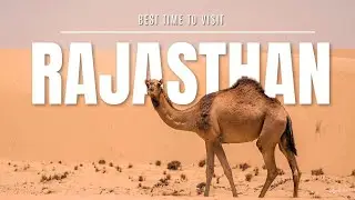 Best Time to Visit Rajasthan #Rajasthan #Travel #besttimetovisit