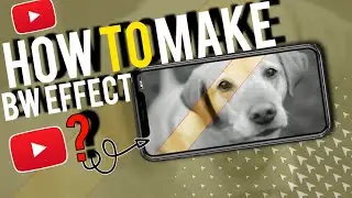 Color in Black & White effect | KineMaster Tutorial