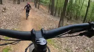 Blue Jay at North woods bike trails