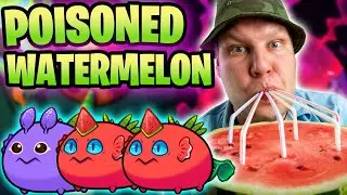 RANK 17 DOUBLE WATERMELON POISON BUILD | ORIGINS LEADERBOARDS | AXIE INFINITY