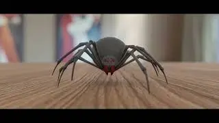 Black Widow Spider Animation