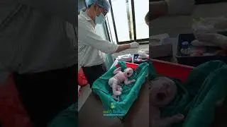A beautiful baby girl has been born through a successful cesarean section at Birth & Beyond Hospital