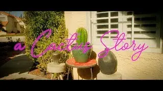 a Cactus Story