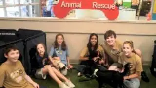 Brooke's Legacy Animal Rescue Year in Review 2010
