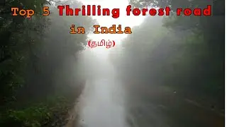 Top 5 Thrilling Forest Road trip in South India | Bikers road | Tamil