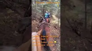 Automated Equine😂#shortsfeed #cowboys #comedy  #family #familyvlog  #friends #god #therapy #horse