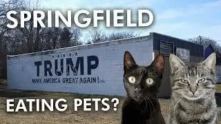 Springfield, Ohio: Crime, Migration, and Struggles in a Small City