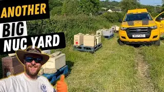 Growing The Nuc Side Of The Bee Farm