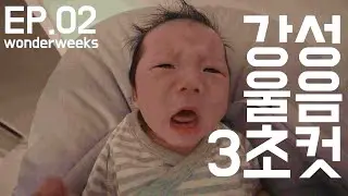 EP.02 원더윅스 시작 (feat. 쪽쪽이)