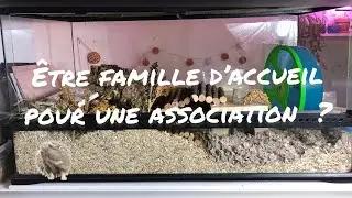 Être famille d’accueil pour une association?- sauvetage animaux