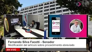 Fernando Silva Facetti - Senador - Modificaci&oacute;n del art&iacute;culo sobre procedimiento abreviado