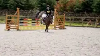 Eden Valley BE100 Showjumping