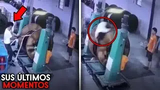 Las PERTURBADORAS Muertes En El Trabajo De Siempre