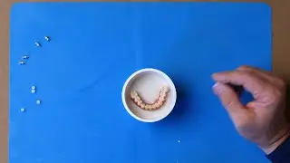 Section E (Optional) | Chapter 1: Create a Master Cast - Smart Denture Conversions Training