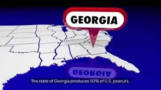 Georgia Peanuts
