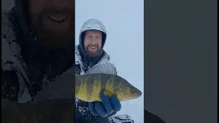 Jumbo 2-Pound Perch Caught in Blizzard Conditions