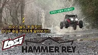 1/10 scale Rccar Losi Hammerrey Rainy Day 제주삼다수 #251