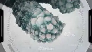 FINITI Telomere Support - Jeunesse Global - RUSSIAN Russia - Telomerase TA-65