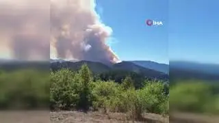 Orman yan*gınını s&ouml;n*d&uuml;rme &ccedil;alışmaları 5 saattir s&uuml;r&uuml;yor