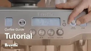 The Oracle®  | How to find the perfect dose of coffee: adjusting the tamp settings | Breville USA