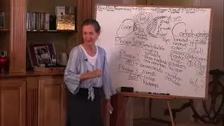 Detox Your Body: Natural Liver Herbs & Tips!