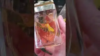 LA PANTHERE.EAU PARFUM.Cartier.Безумно красивый,стойкий, антидепрессивный😽Шипр.ПАРФЮМЫ НА НОЯБРЬ.