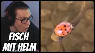 Niek REAGIERT auf UNUSUAL MEMES COMPILATION V137