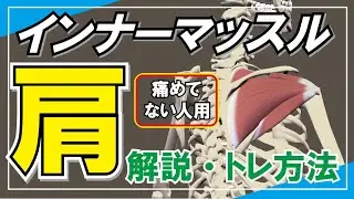 肩インナーマッスル 解説・トレーニング方法　#腱板　#カフ　