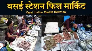 वसई मार्किट : Vasai Station Fish Market | Cloths Market | Vasai Street Market | Vasai Market Tour