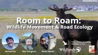 Room to Roam: Wildlife Movement and Road Ecology Webinar