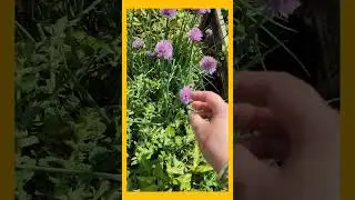 Gartenzeit!