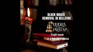 Black magic removal in Bellevue |  Astrologer dr Rudra pratap