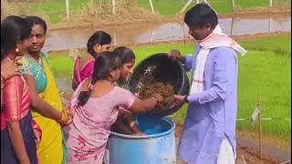 జీవామృతం తయారీ #how to make jeevamrutham #jeevamrutham 