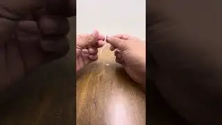 Video de nudo t-knot para l&iacute;der de pesca con carnada