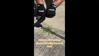 Marc Mcguire Landscaping is keeping his hands protected with Echo gloves